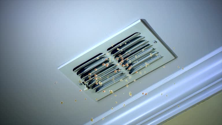 Best Air Vent Cleaning Services  in Buckhead Ridge, FL