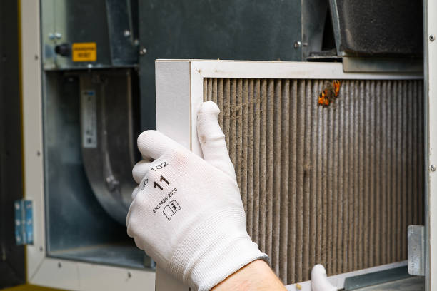 Best Air Duct Cleaning Company Near Me  in Buckhead Ridge, FL