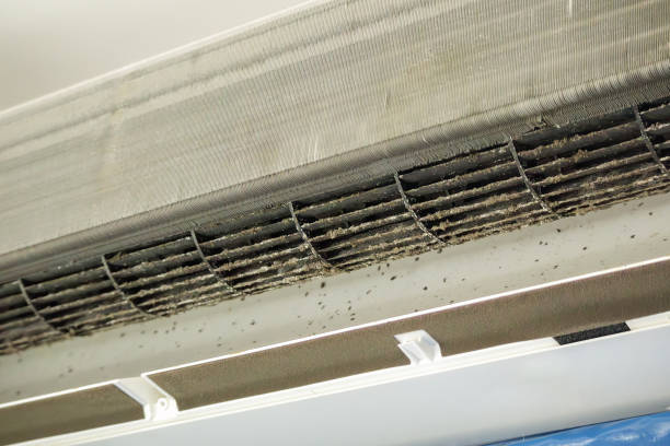 Best Air Duct Cleaning Near Me  in Buckhead Ridge, FL