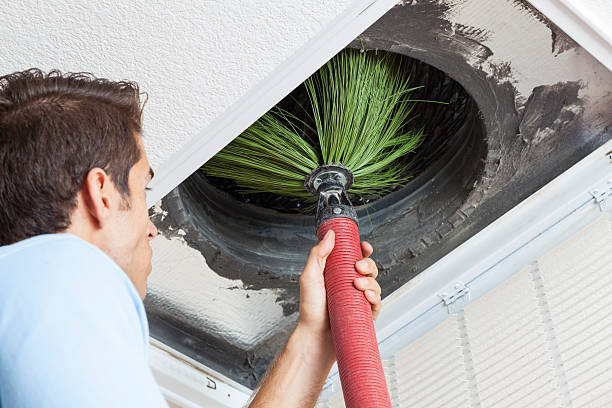 Best HVAC System Cleaning  in Buckhead Ridge, FL